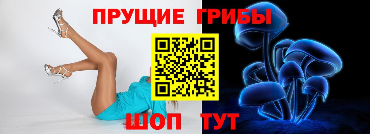 Псилоцибиновые грибы Psilocybine cubensis Нефтеюганск
